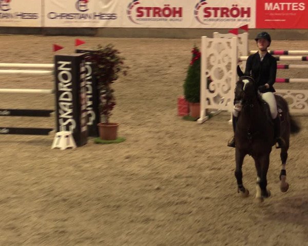 Nordic Jumping events 2019