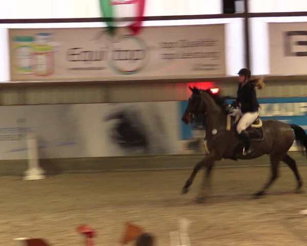 Nordic Jumping events 2019