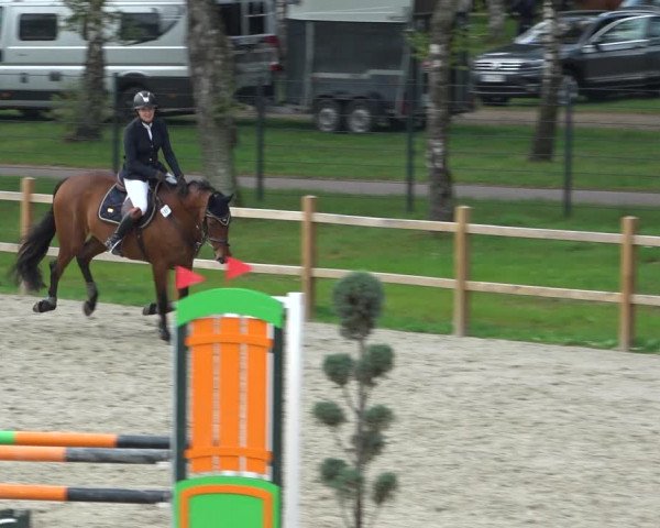 Reitturnier Westergellersen 2021