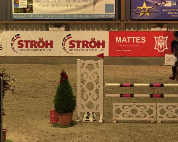 Nordic Jumping events 2019