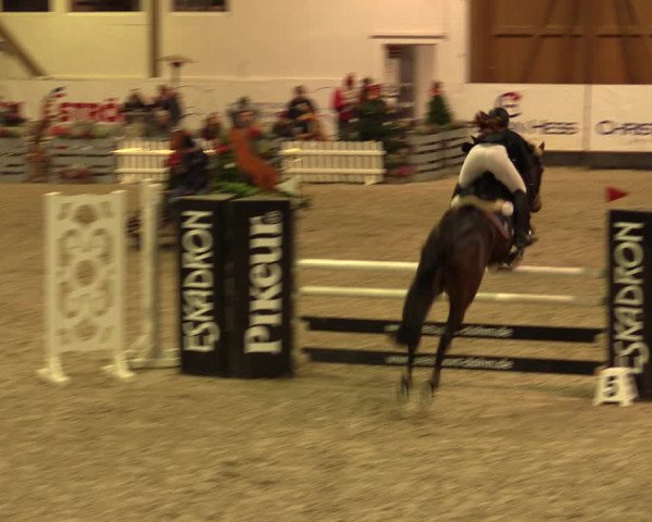 Nordic Jumping events 2019