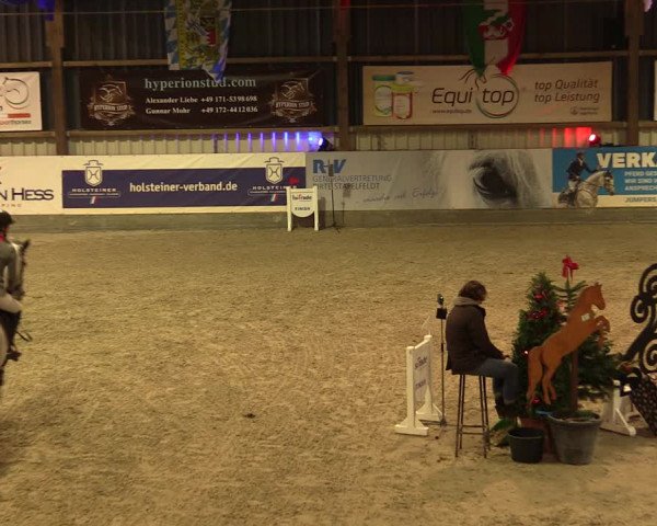 Nordic Jumping events 2019