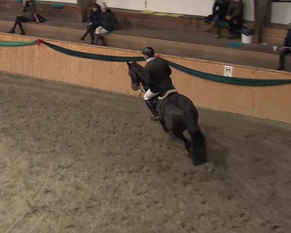 Reitturnier Leck 2019