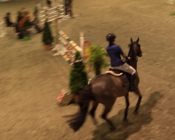Nordic Jumping events 2019