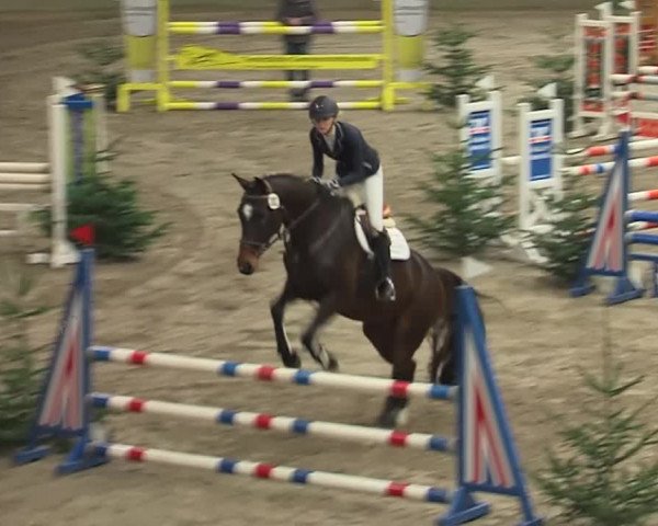 Reitturnier Leck 2019