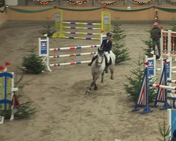 Reitturnier Leck 2019
