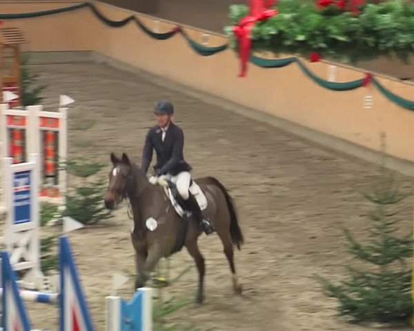 Reitturnier Leck 2019