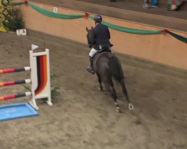 Reitturnier Leck 2019