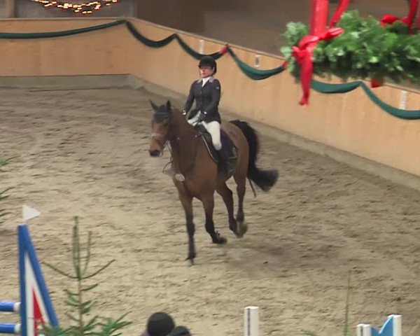 Reitturnier Leck 2019