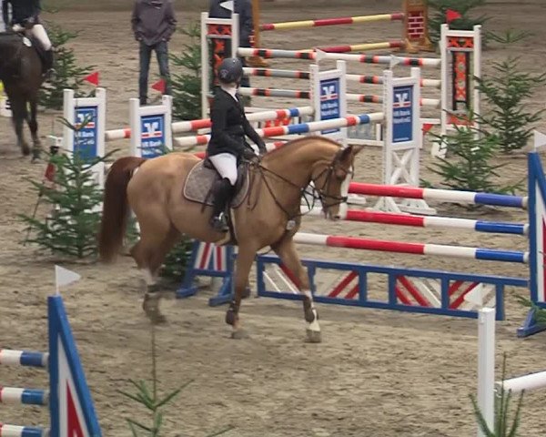 Reitturnier Leck 2019