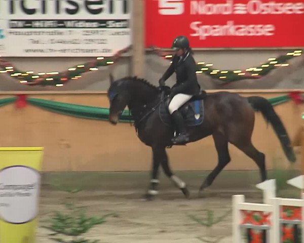 Reitturnier Leck 2019