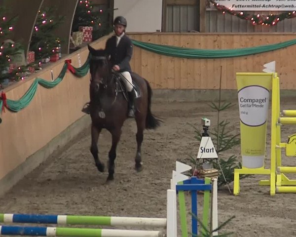 Reitturnier Leck 2019