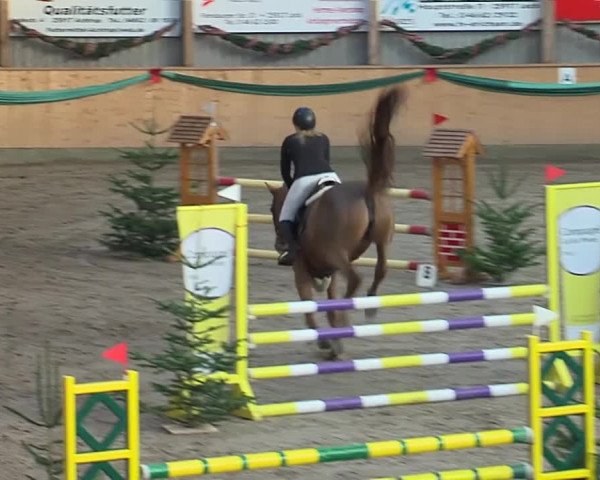 Reitturnier Leck 2019