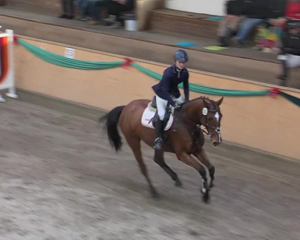 Reitturnier Leck 2019