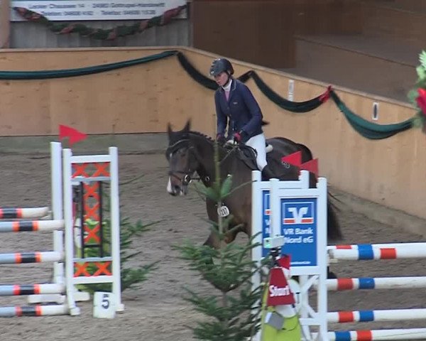 Reitturnier Leck 2019