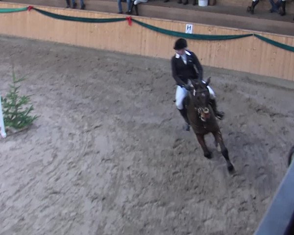 Reitturnier Leck 2019