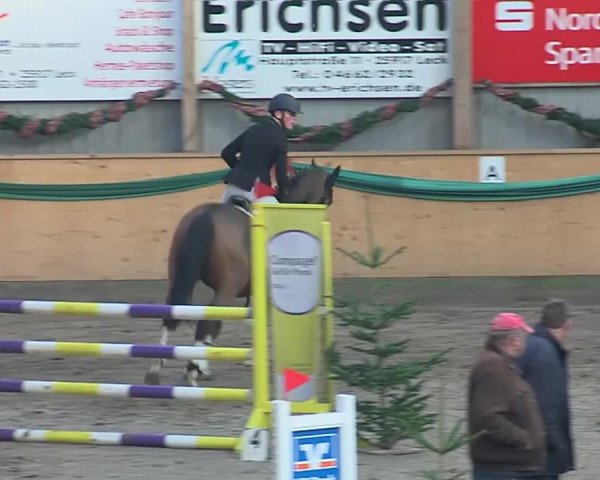 Reitturnier Leck 2019