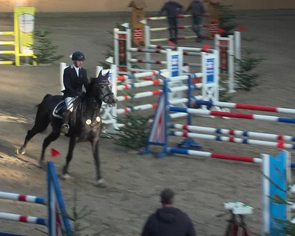 Reitturnier Leck 2019