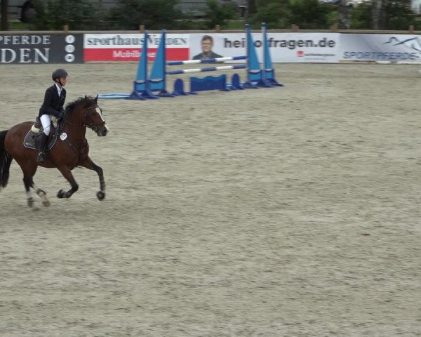 Reitturnier Westergellersen 2021