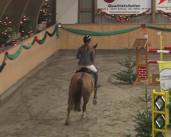 Reitturnier Leck 2019