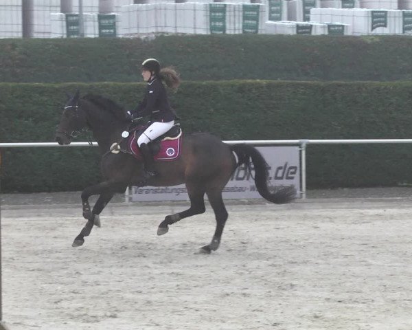 Reitturnier Durmersheim-Hardt 2021