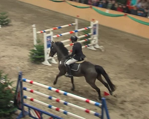 Reitturnier Leck 2019