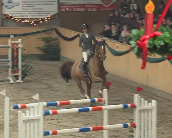 Reitturnier Leck 2019