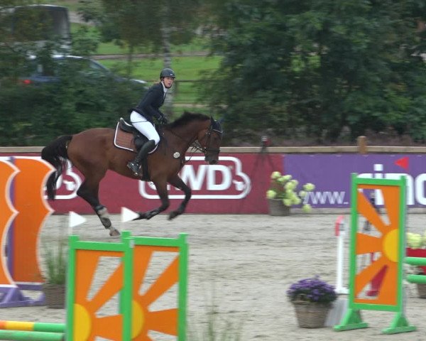 Reitturnier Westergellersen 2021