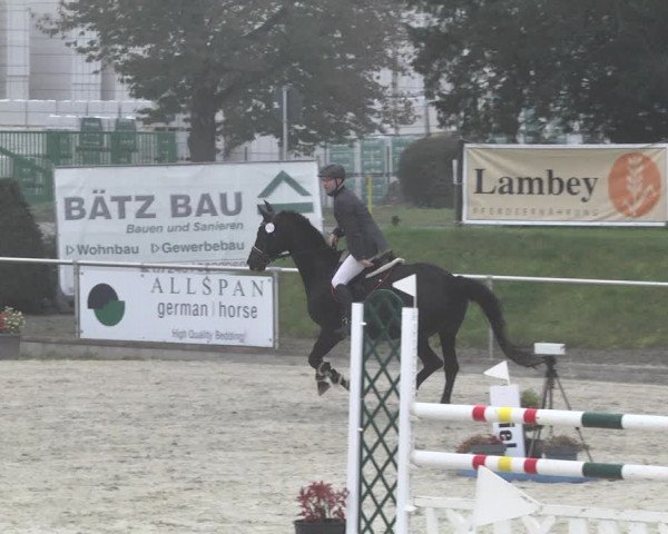 Reitturnier Durmersheim-Hardt 2021
