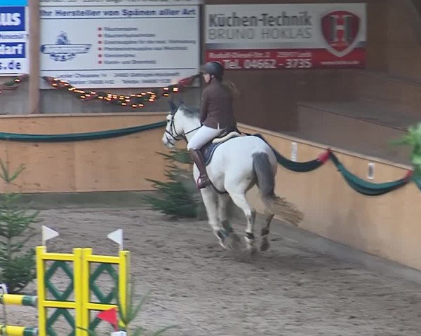 Reitturnier Leck 2019