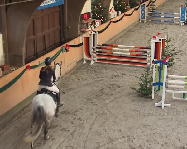 Reitturnier Leck 2019