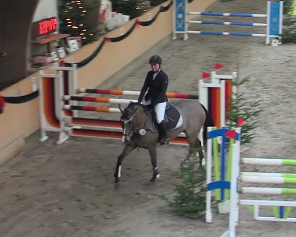 Reitturnier Leck 2019