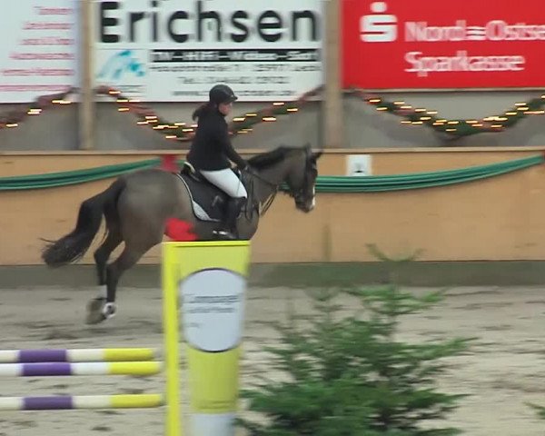 Reitturnier Leck 2019