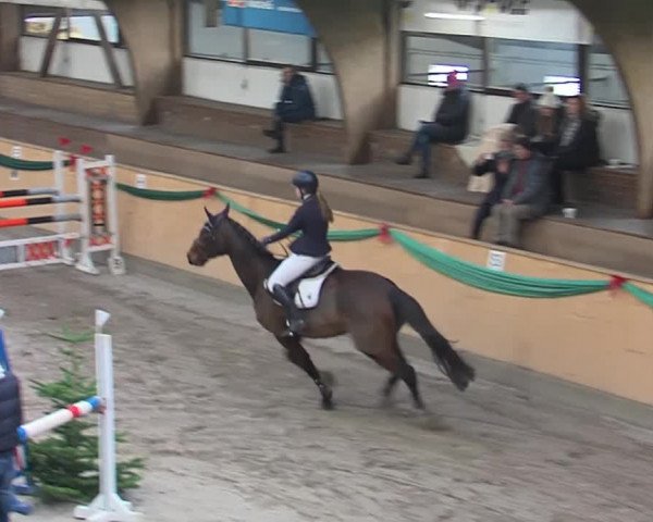 Reitturnier Leck 2019