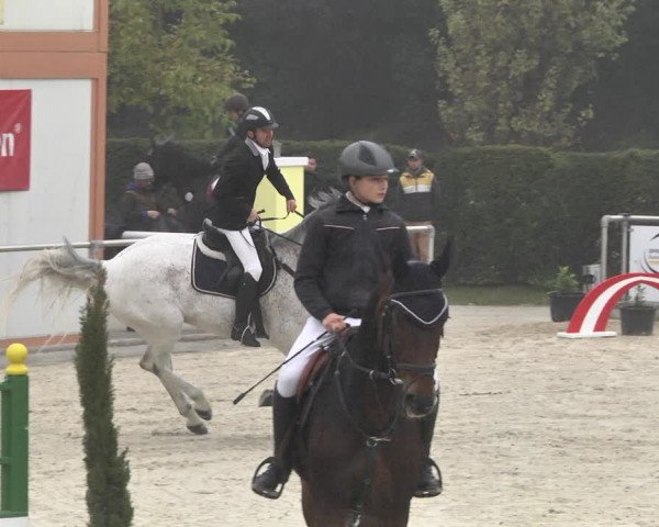 Reitturnier Durmersheim-Hardt 2021