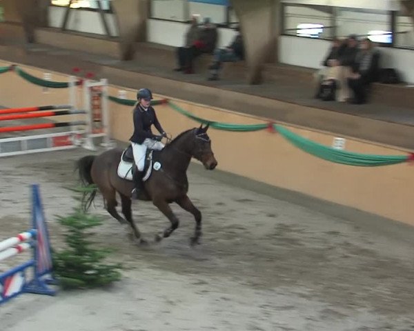 Reitturnier Leck 2019