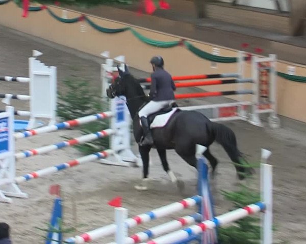 Reitturnier Leck 2019