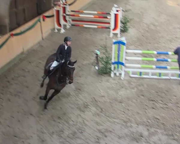 Reitturnier Leck 2019