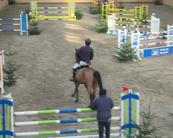 Reitturnier Leck 2019