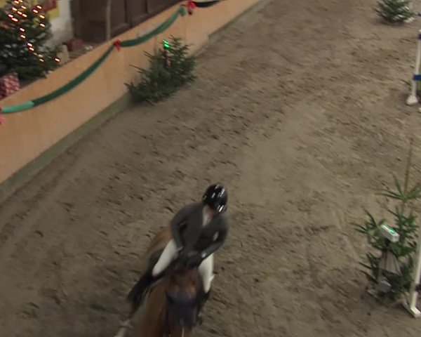 Reitturnier Leck 2019