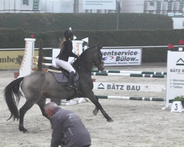 Reitturnier Durmersheim-Hardt 2021