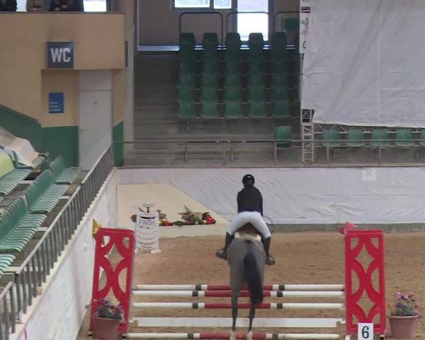Reitturnier Kreuth/Opf. 2019