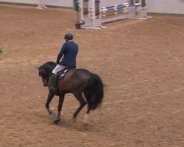Reitturnier Kreuth/Opf. 2019