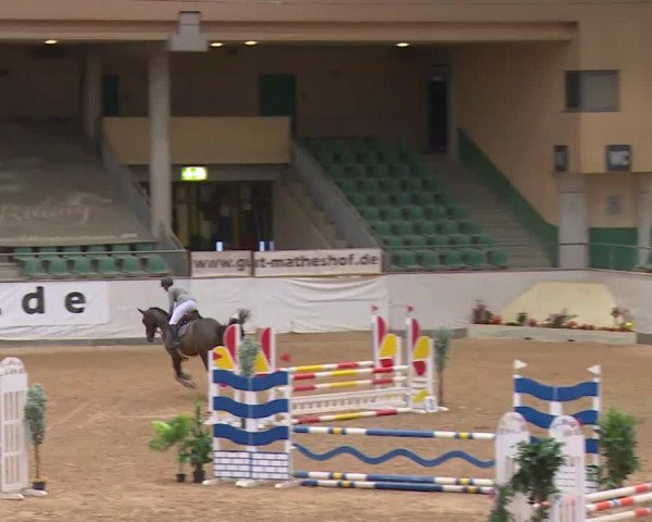 Reitturnier Kreuth/Opf. 2019