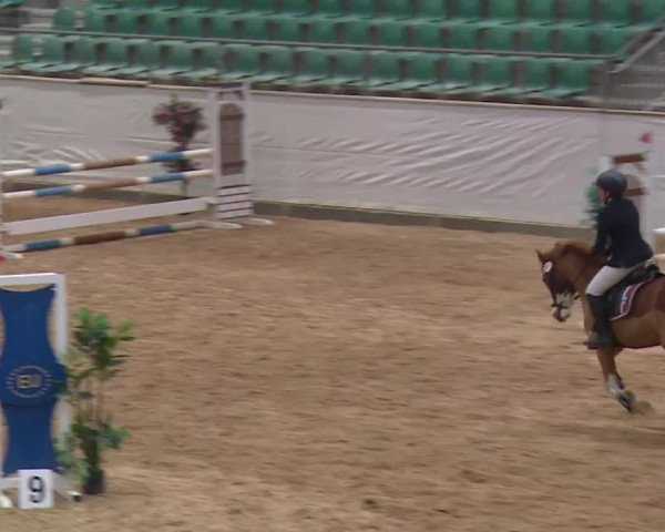 Reitturnier Kreuth/Opf. 2019