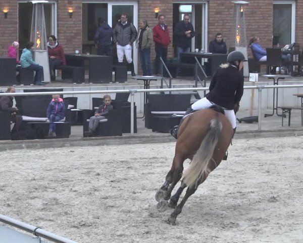 Reitturnier Durmersheim-Hardt 2021