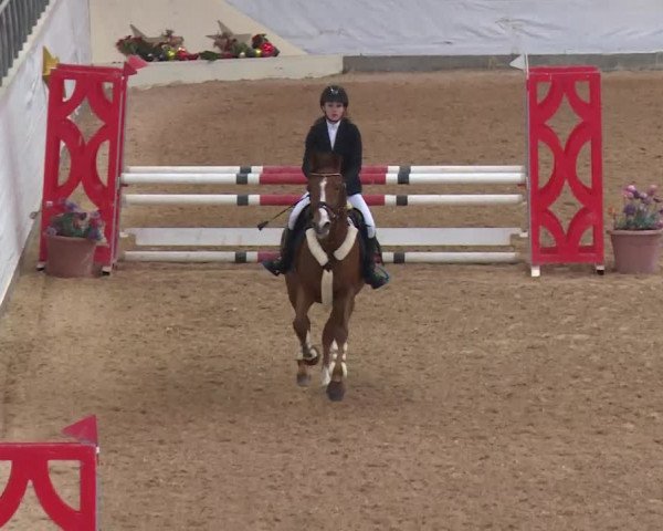 Reitturnier Kreuth/Opf. 2019