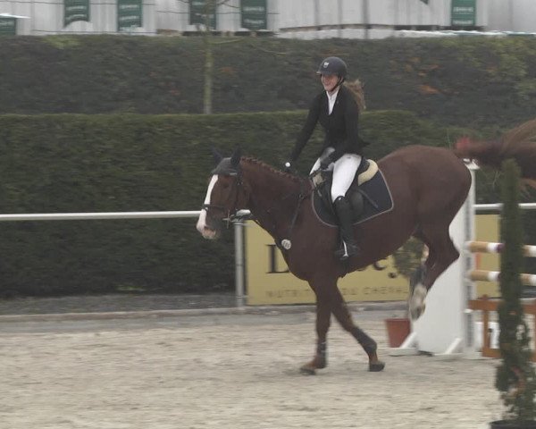 Reitturnier Durmersheim-Hardt 2021