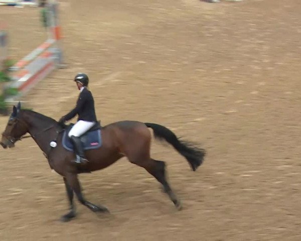 Reitturnier Kreuth/Opf. 2019