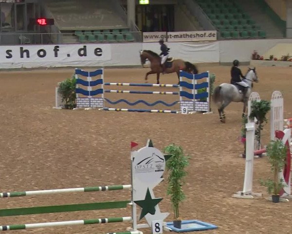 Reitturnier Kreuth/Opf. 2019